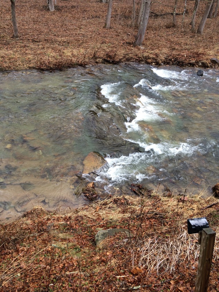 Wilson Creek in her banks