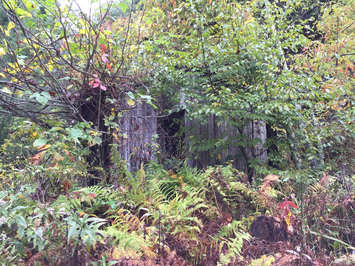 Old Family Outbuilding